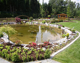 Vijver14 - 280x220 resize.jpg